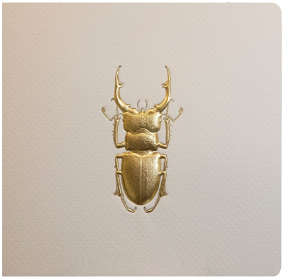 Bas-relief Greeting Card - Stag Beetle (Gold)