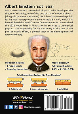 Einstein (Pocket Size)